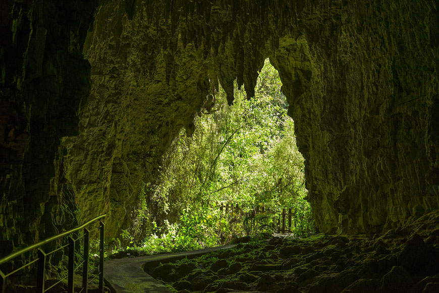 Waitomo-Caves Martin Rietze